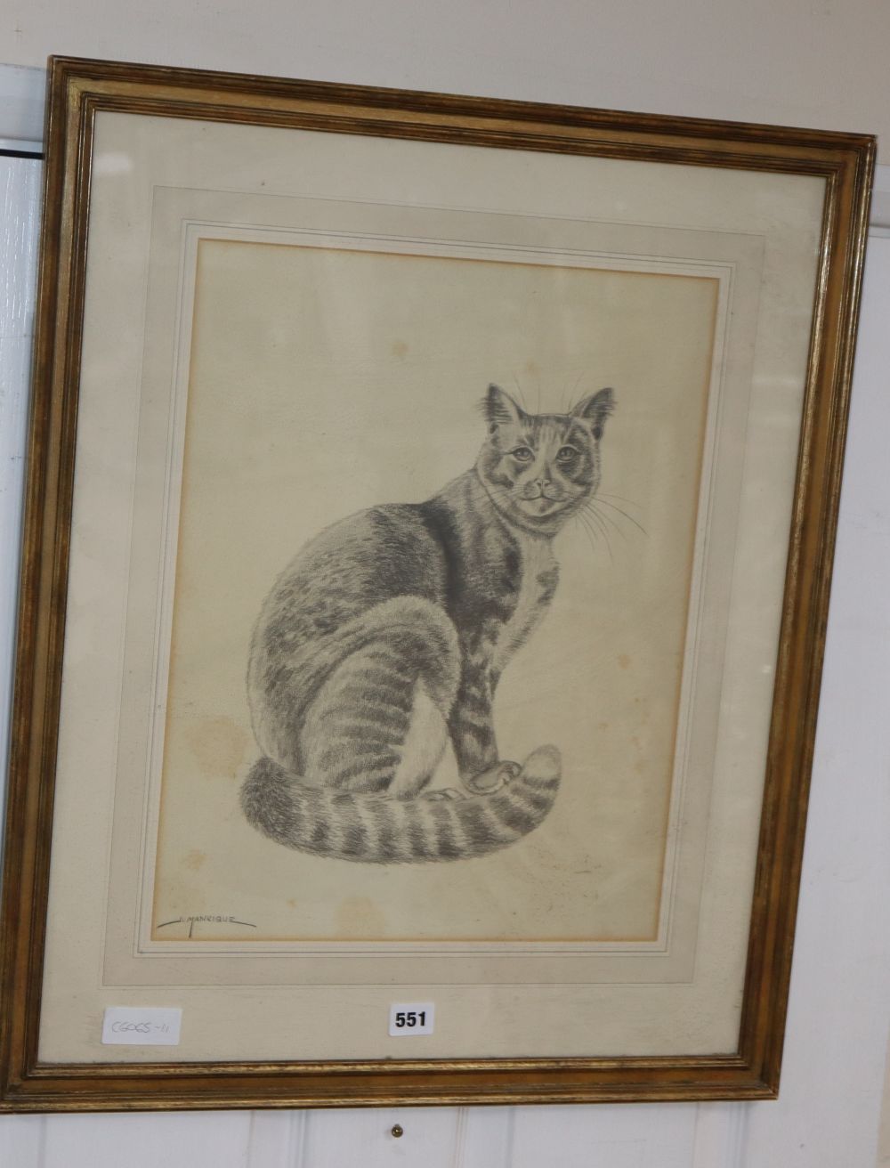 J. Manrique, pencil drawing, Study of a seated cat, signed, 45 x 35cm